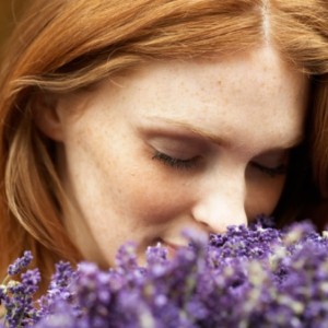 Benefits of skin care products infused with lavender extract