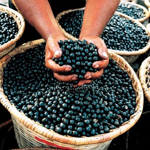 Berry good antioxidant meals for 4th of July weekend