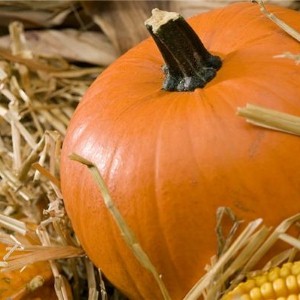 Delectable, healthy pumpkin treats for autumn