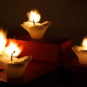 Tapping into the calming benefits of vanilla