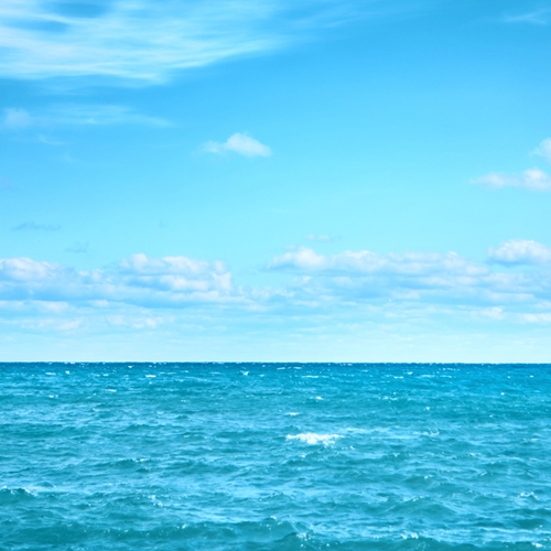 How to harness the power of marine extracts on your cruise