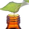Which-essential-oils-should-you-use--_16000592_800906529_1_0_14078906_100.jpg