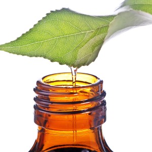 Which essential oils should you use?